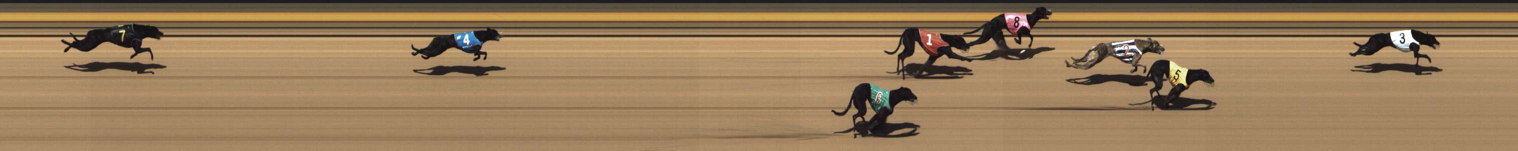 Race result finish photo